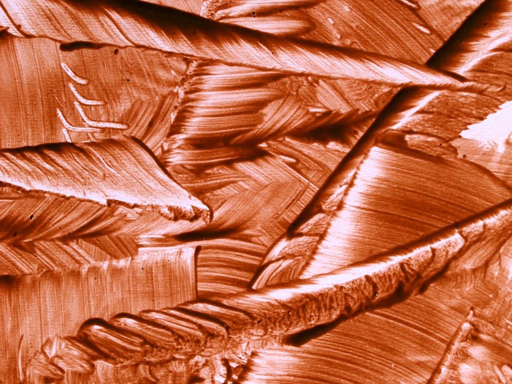 Copper & Brass wire mesh