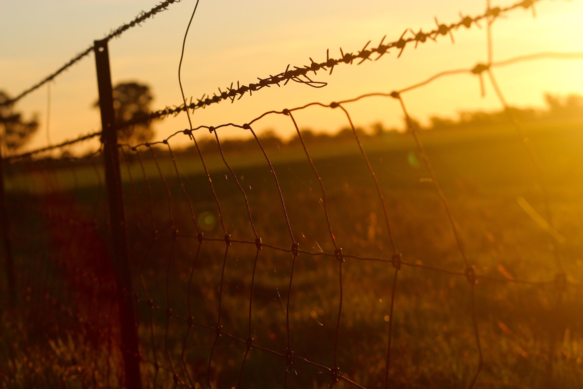 刺绳刀片刺网 Barbed Wire