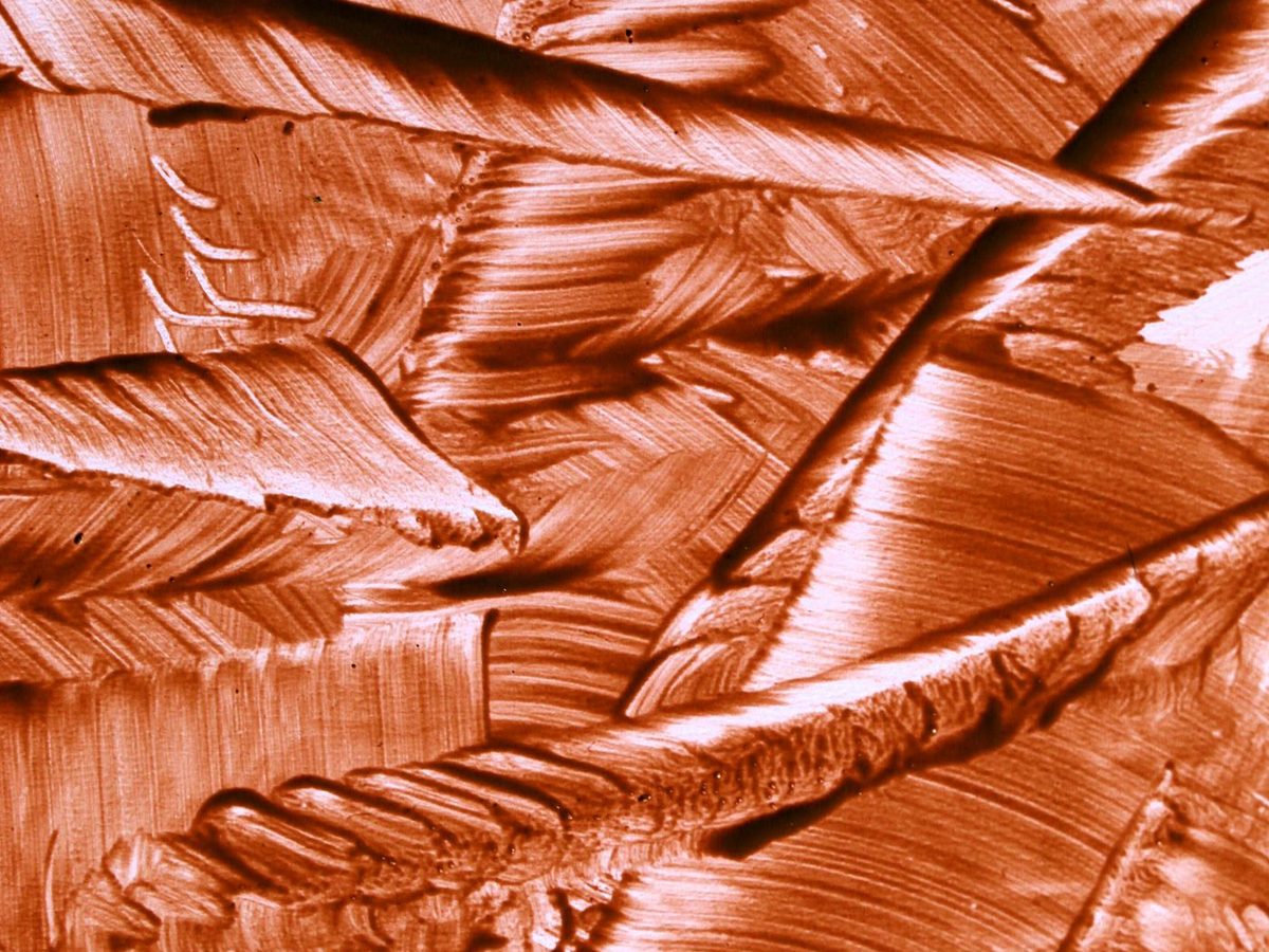 Copper & Brass Wire Mesh
